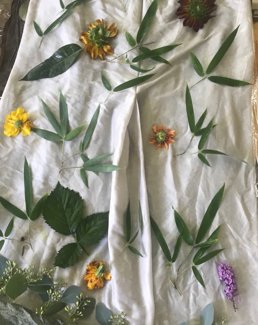 Custom Plant Printed Garments